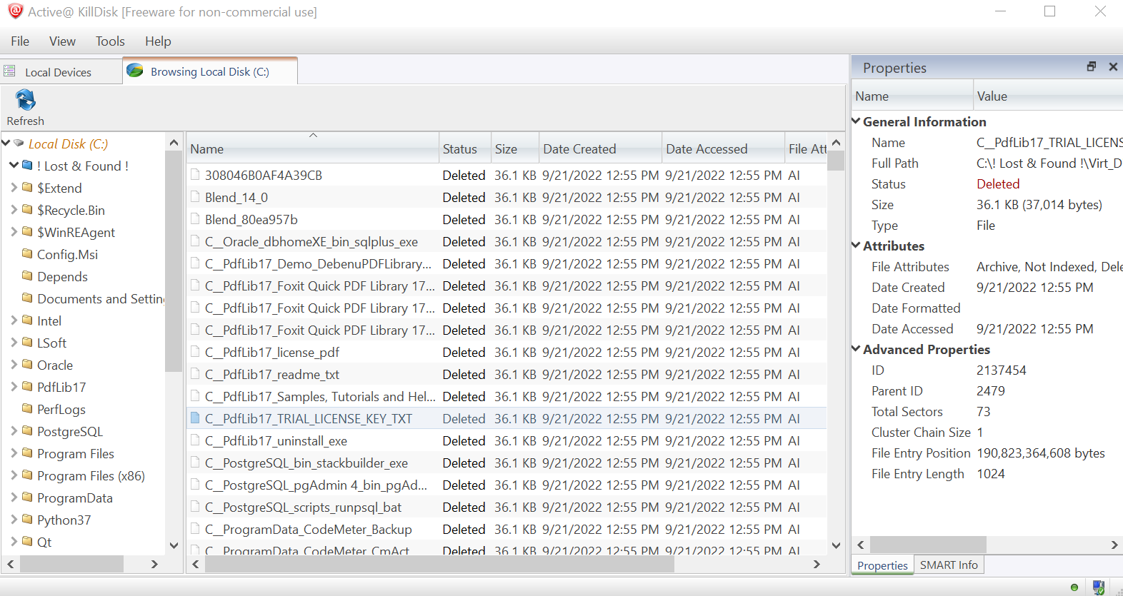 Active@ KillDisk Windows. Erasing Data from Hard Disk. Preview Files.